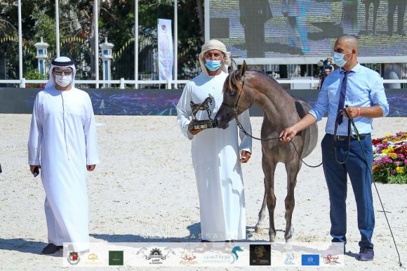 d232ac7f-d37d-42d7-a12d-eef2518e7cb9