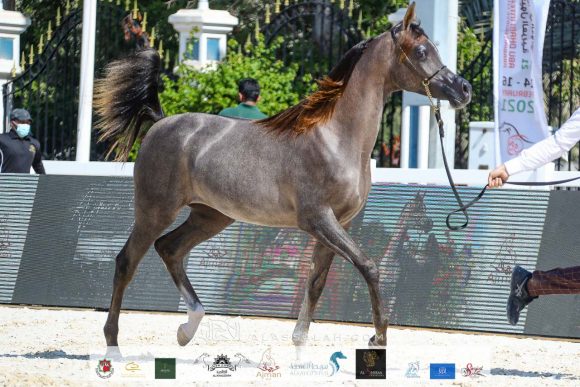 e37114dc-0d36-4ab6-8369-5108598c0880