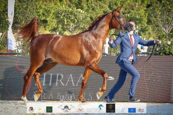 f41214a0-c30d-452a-a2b3-7666c0c64d20