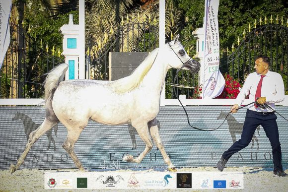 f4207507-3890-4938-a0d8-df80e1211889