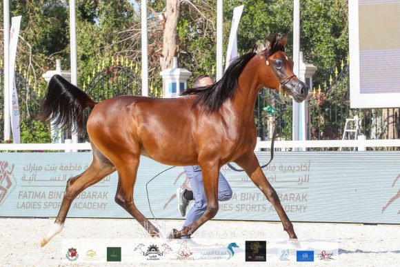 f5f9935b-fa45-4631-b56b-fd3107e99ef7