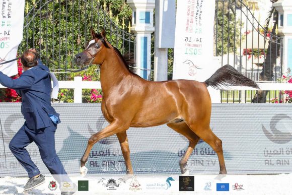 f9e3dfef-4ff6-44de-9c5a-b080e1e7f138