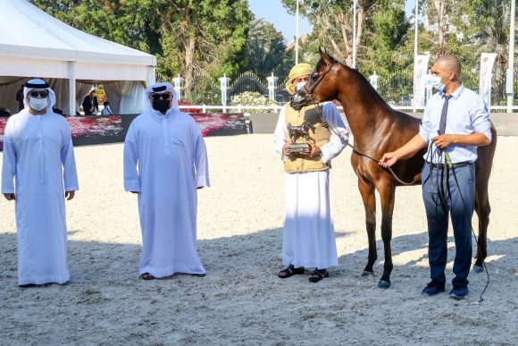 ff103eaa-a3c6-413f-962a-41b6018d95dd