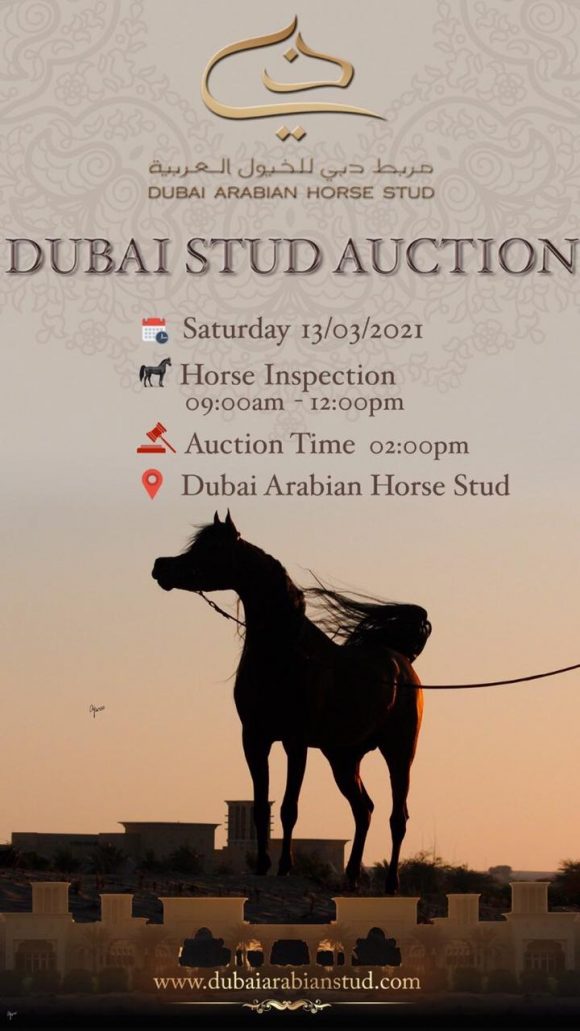 125f961d-dce5-46f2-9422-23161deb88f9