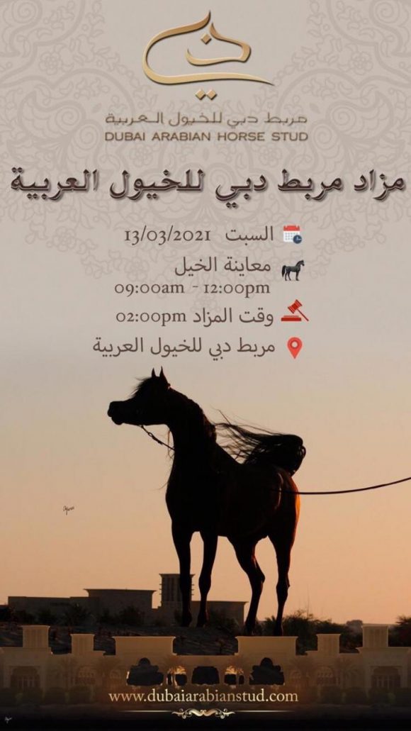 4767569c-ffb2-4dcd-b739-3ee6315ab99e