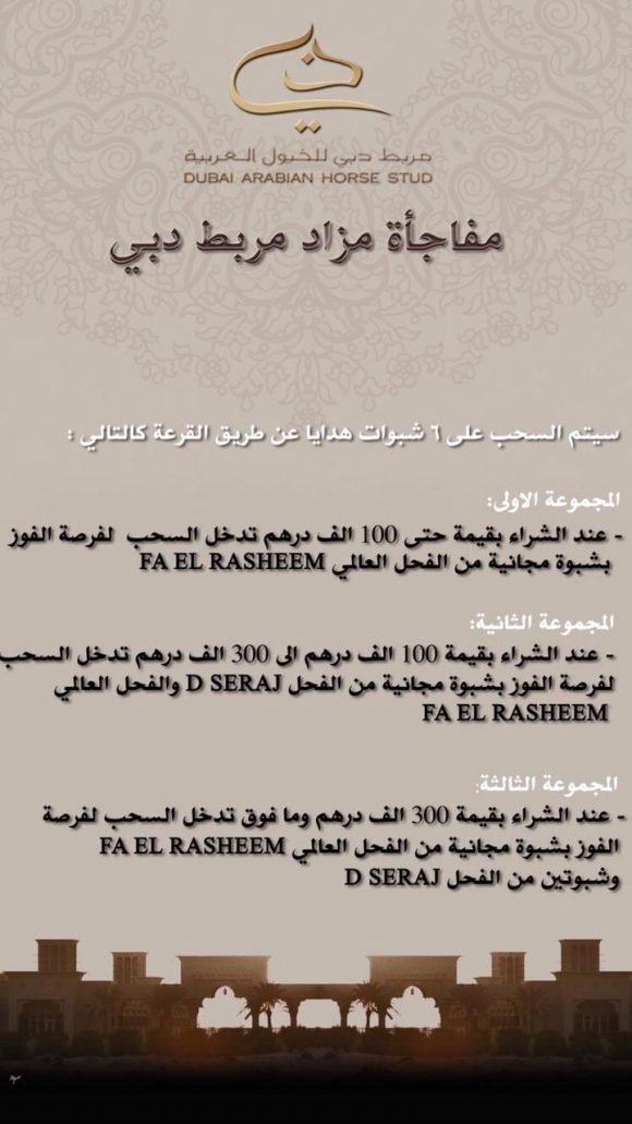 81e9d2d6-f358-41a0-ae5b-6d4774e10ab5