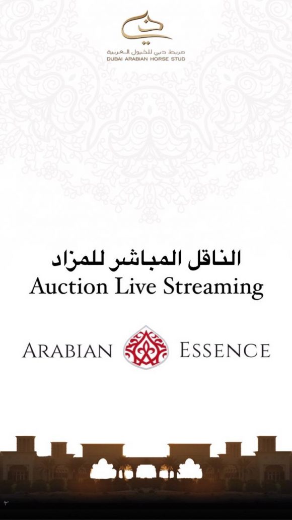 8dccb206-a619-4256-bba7-70f499e31925