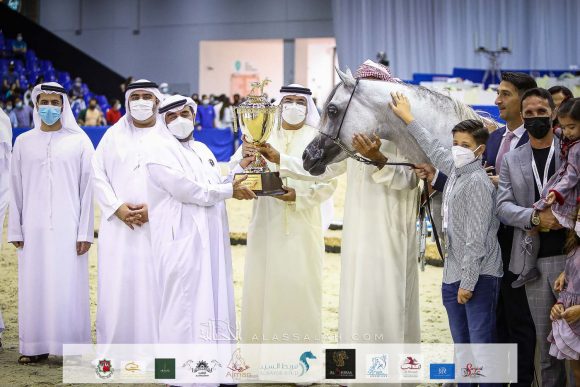 دي سراج (اف ايه الرشيم X ليدي فيرونيكا) مربط دبي