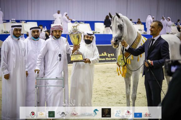 إي اس حرير (ع ج دينار x تي اف ماغنومس ماجيك) مربط الصقران