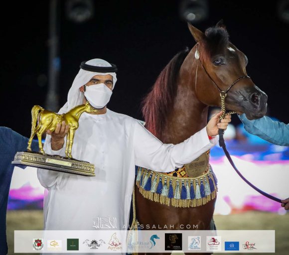 س س محجوب (اف ايه الرشيم x دي ترفة) لمحمد سلطان اليحيائي