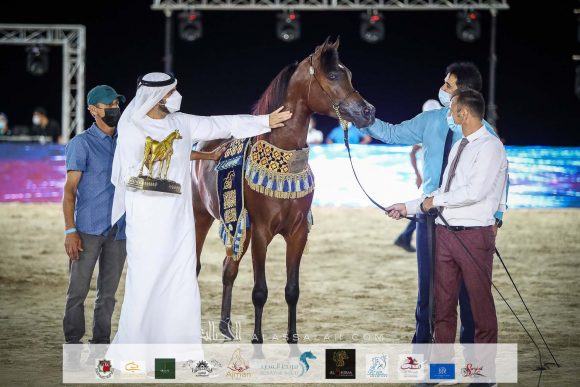 س س محجوب (اف ايه الرشيم x دي ترفة) لمحمد سلطان اليحيائي