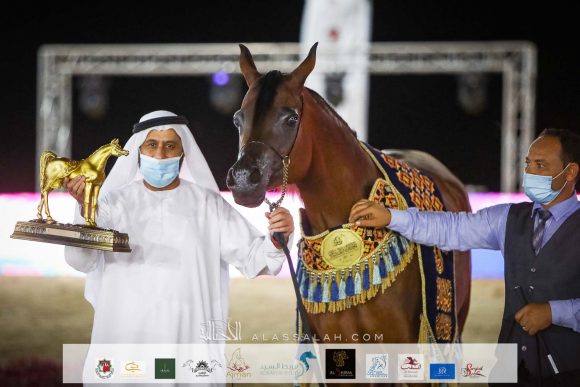 آر اف اي اميرة المكتوب (ار اف اي مكتوب x الي ماهكشي) لعلي غانم هميلة المزروعي