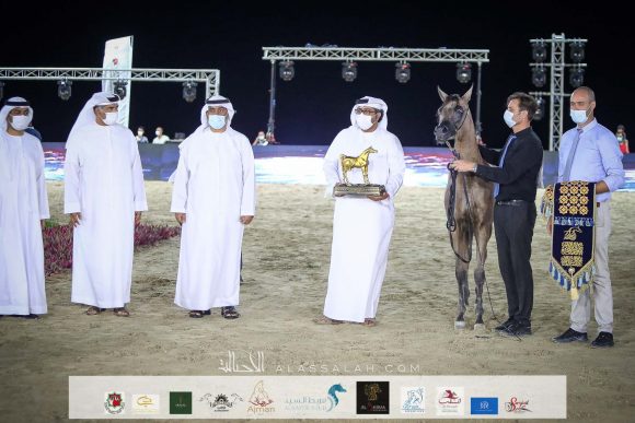 عجايب المنال (نغيث الزبير x التيريسا) لفهد سالم الزعابي