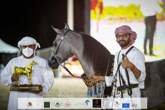 :ميادة اتش (رعد الهيثم x ديفا جستينا) لهيثم محمد بن فريش الكندي