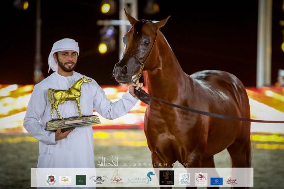 هلال السيد (عجمان مونيسكيون xالشنينة) لمربط بن هميلة