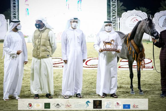 "دي لين" (دي سراج x دي مها) مربط دبي