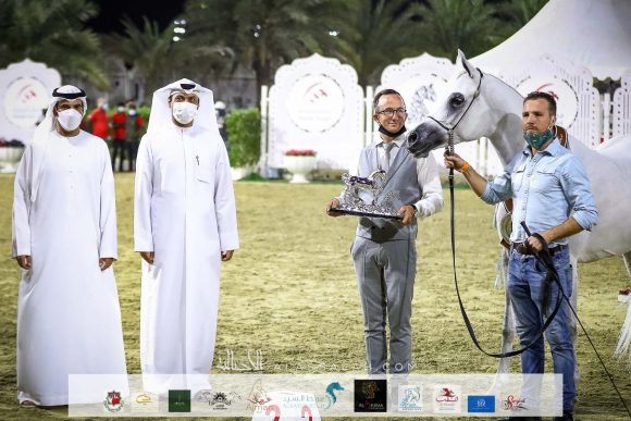 ويلدونا (شنغهاي إي ايه x ويلدا) ستاندينا كوني ميشالو