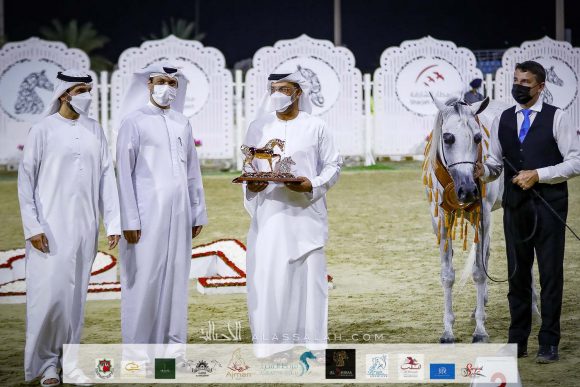 "ع ج إمانة" (ع ج مردان x ايماندوريا) مربط عجمان