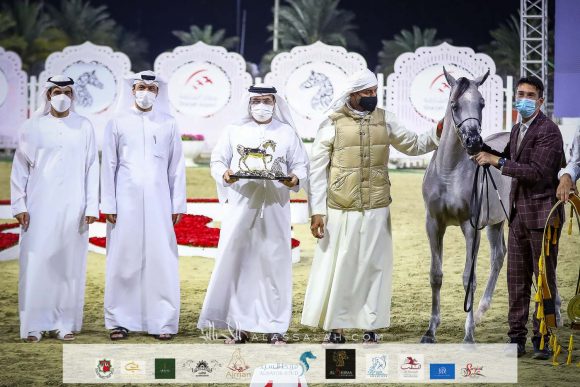 : دي شرار (دي سراج xاف تي شيلا) مربط دبي