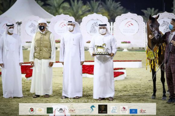 : دي شخاط (دي خطاف x دي شيرين) مربط آريا/جيفري سلون