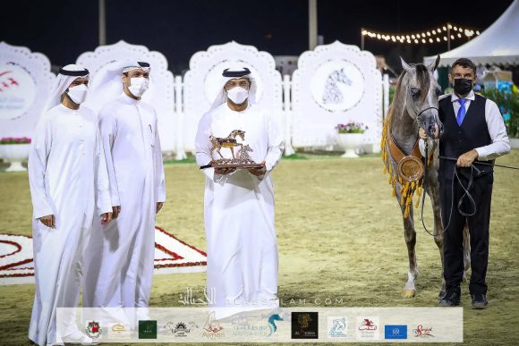 ع ج ريدان (دي سراج x ع ج برواز) مربط عجمان