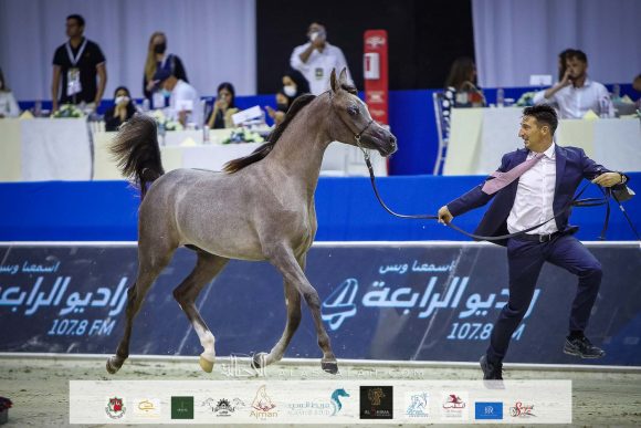 دي بيسان (دي سراج x ار ايه اتش روزاليا) مربط دبي