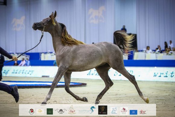 دي بيسان (دي سراج x ار ايه اتش روزاليا) مربط دبي