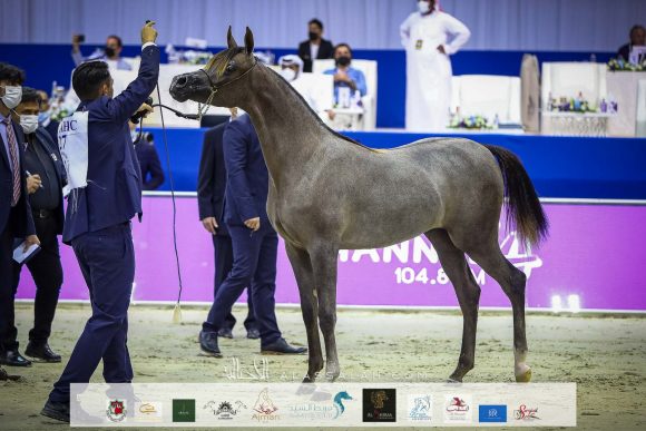 دي بيسان (دي سراج x ار ايه اتش روزاليا) مربط دبي