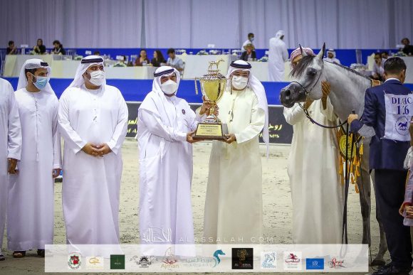 دي شيهانة (اف ايه الرشيم  xدي شهللا) مربط دبي