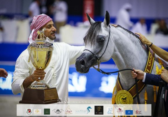 دي شيهانة (اف ايه الرشيم  xدي شهللا) مربط دبي