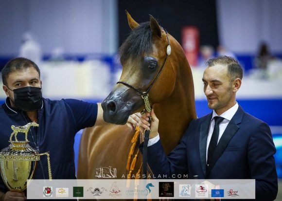 ار اف اي يونيك (اي اف ميدان x ار اف اي الترا المكتوب) رابطة اي اف اي يونيك