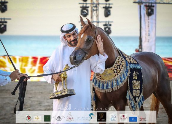 منار الهواجر (دومنيك ام x فلينتينا اف) لسلطان خليفة اليحيائي