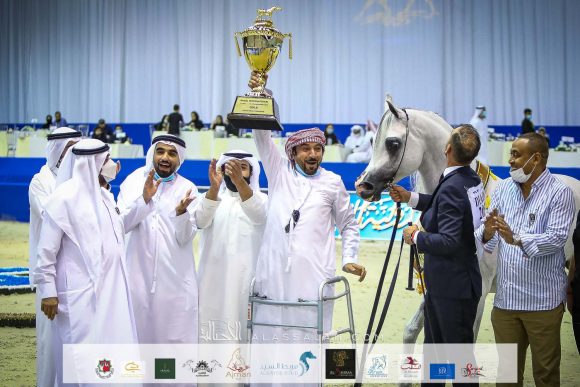 إي اس حرير (ع ج دينار x تي اف ماغنومس ماجيك) مربط الصقران