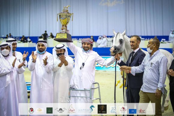 إي اس حرير (ع ج دينار x تي اف ماغنومس ماجيك) مربط الصقران