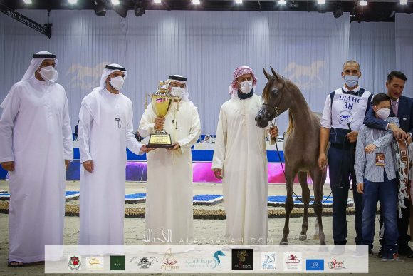 دي بيسان (دي سراج x ار ايه اتش روزاليا) مربط دبي