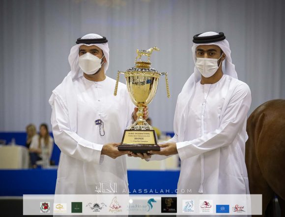 ع ج العلا (ع ج مرزان x اية المعود) مربط عجمان