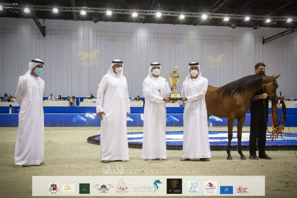 ع ج العلا (ع ج مرزان x اية المعود) مربط عجمان