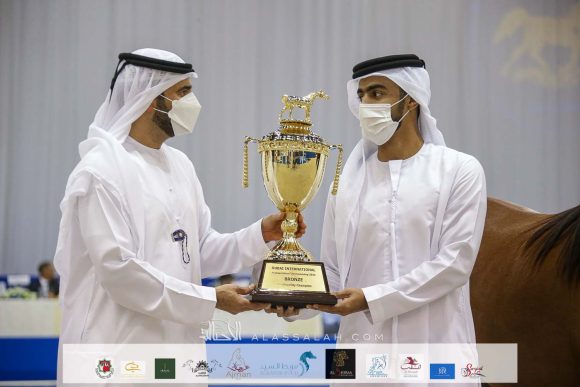 ع ج العلا (ع ج مرزان x اية المعود) مربط عجمان