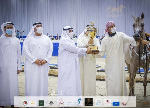 دي جودي (ع ج عزام x إيلي فلامينكا) مربط دبي