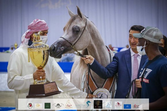 دي جودي (ع ج عزام x إيلي فلامينكا) مربط دبي