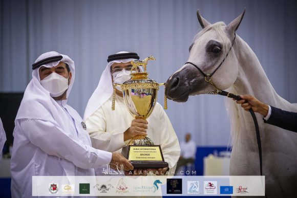 دي فنانة (اكسكاليبور x إيلي فلامنيكا ) مربط دبي