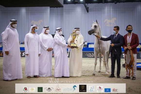 دي فنانة (اكسكاليبور x إيلي فلامنيكا ) مربط دبي