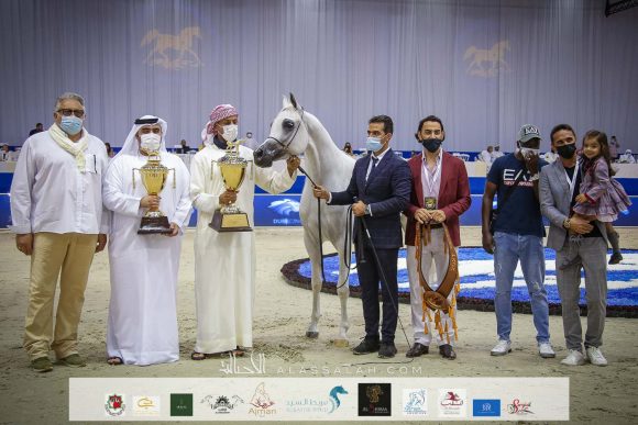 دي فنانة (اكسكاليبور x إيلي فلامنيكا ) مربط دبي