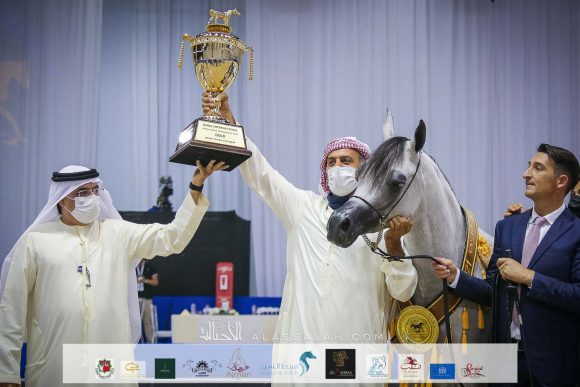 دي شيهانة (اف ايه الرشيم  xدي شهللا) مربط دبي