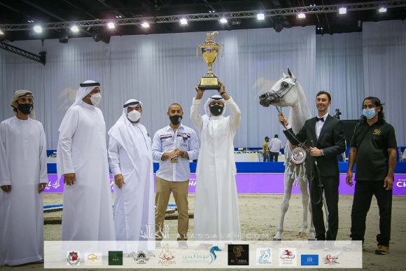 بنت هازي الخالدية (البلاشيوفو x هازي الخالدية) مربط الخشاب