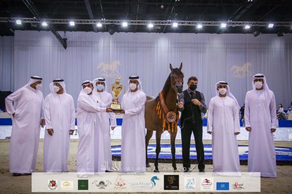 ع ج تريم (ايمرالد جي x ايسبنيلا) مربط عجمان