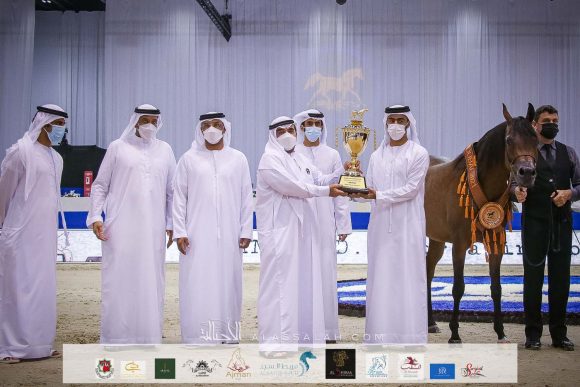 ع ج تريم (ايمرالد جي x ايسبنيلا) مربط عجمان