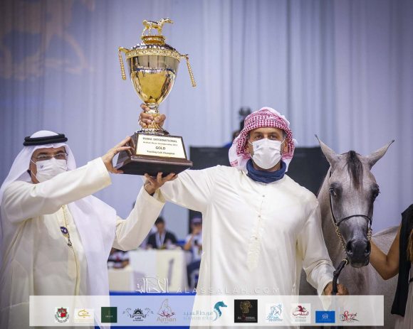 دي شرار ( دي سراج x اف تي شيلا) مربط دبي