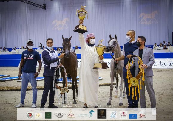 دي راسل (اف ايه الرشيم x ليدي فيرونيكا) مربط دبي