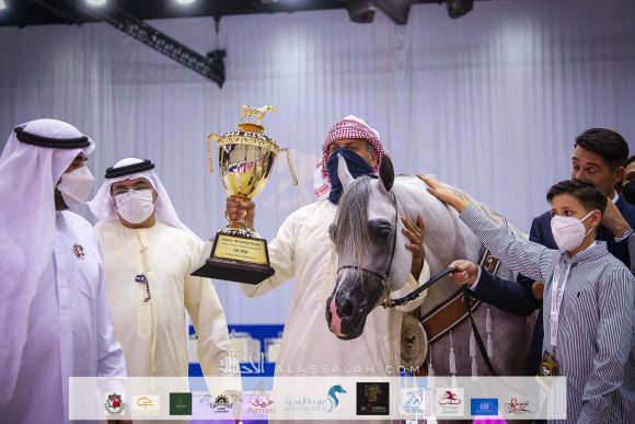 دي سراج (اف ايه الرشيم X ليدي فيرونيكا) مربط دبي